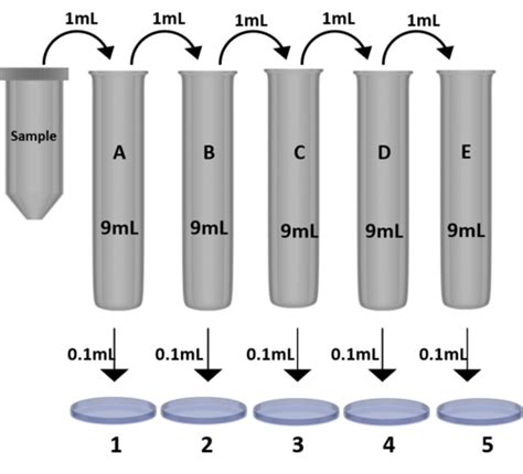 serial dilution flashcards